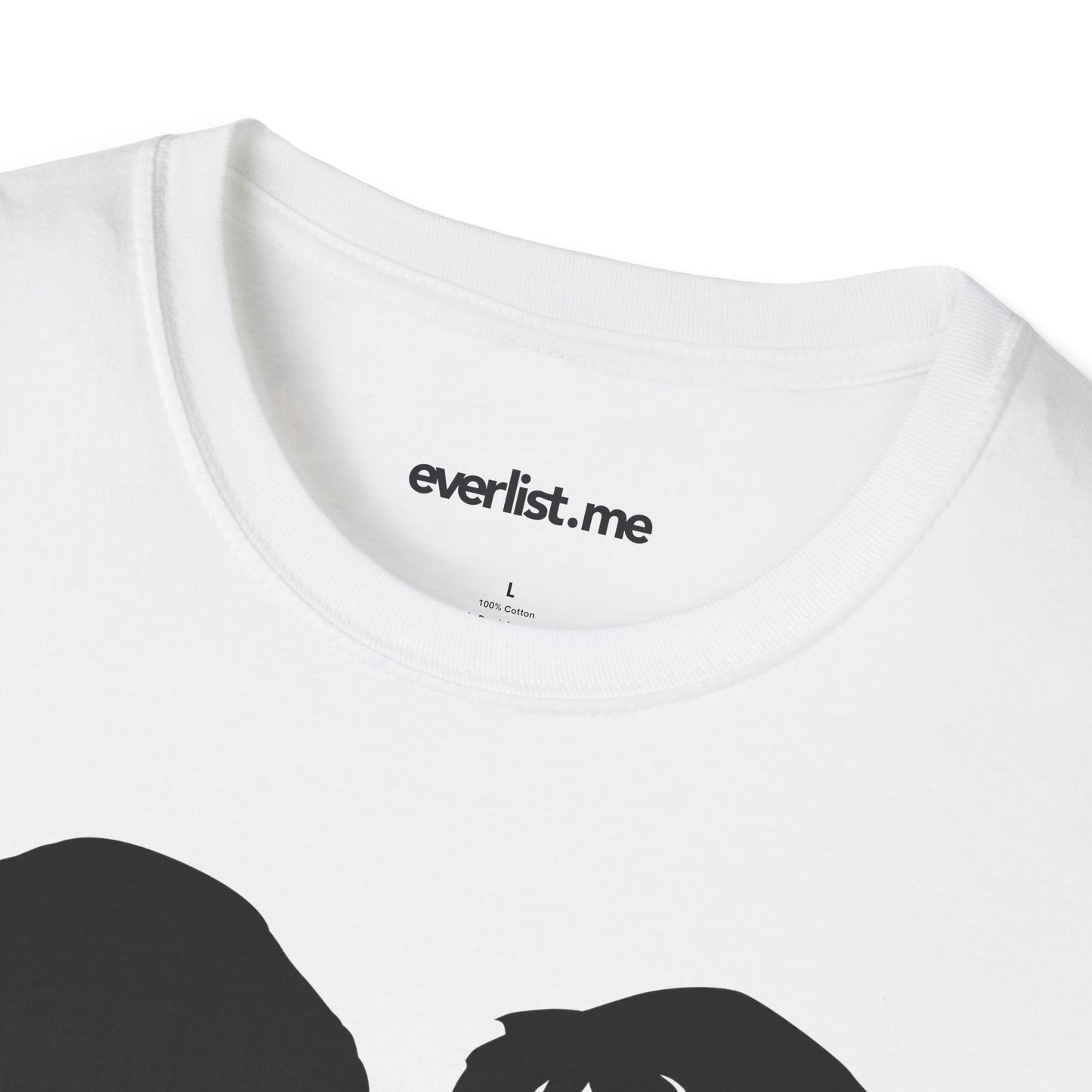 Matrix Softstyle T-Shirt (men)